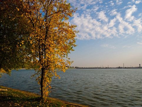 Осень наступила.