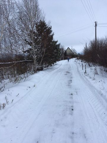 Зимняя дорога... почищена до земли.