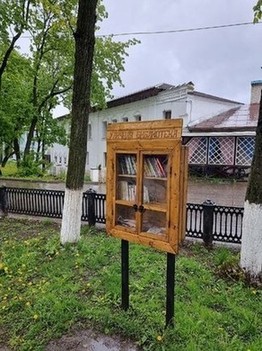Гороховец (Владимирская область). Местная уличная библиотека