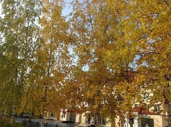 Осень золотая в Вартовске