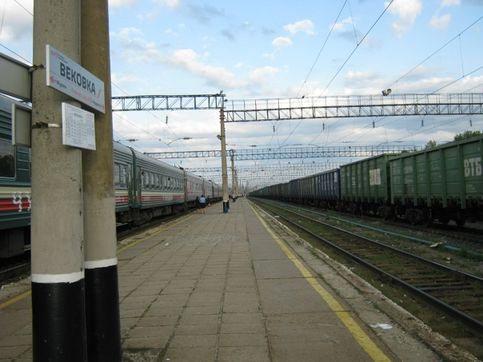 Станция Вековка. Платформа 3