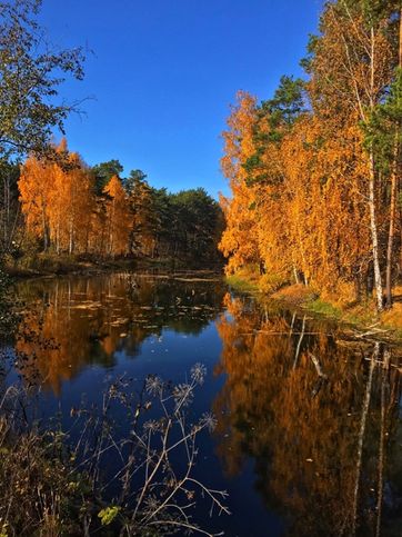 Осень на речке Егоза