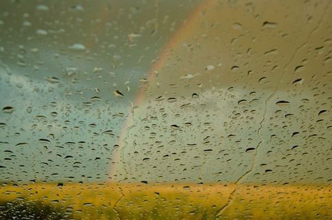 Летний дождь над гречишным полем. Башкирия