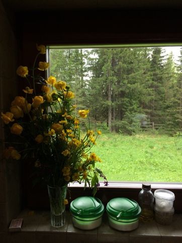 На кухонном окне полевые цветы, за ним - бескрайний лес... даже само звучание фразы приводит в восторг! )