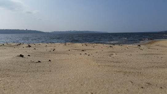 Санаторий Чувашия, парк Сувар: песчаный пляж с красивым видом на волгу матушку