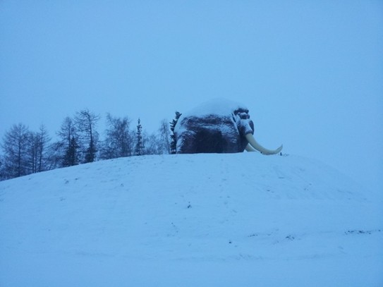 Памятник мамонту. Ямал является вторым местом в мире и в России, где находят останки мамонтов. Первое место - Якутия