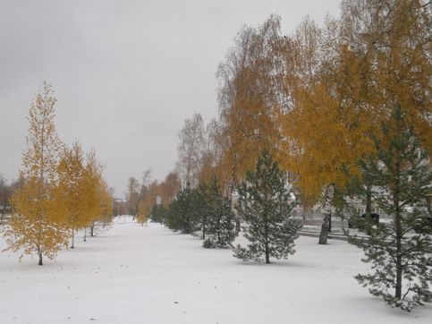 Зимняя осень в Рыбинске