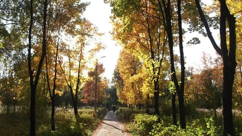 Осенняя аллея (парк им. 30 лет победы)