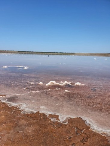 Соленое озеро. Видно розоватый цвет воды