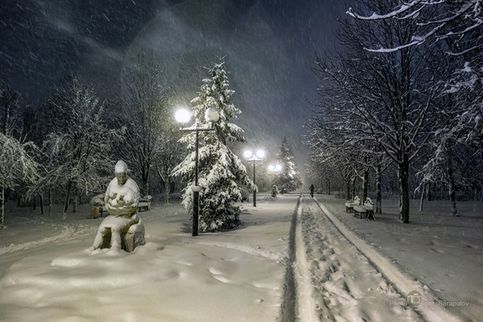 Ночной снегопад в Южном парке