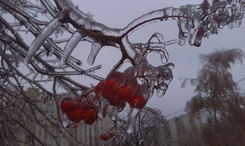 На улице хрустальная зимняя сказка