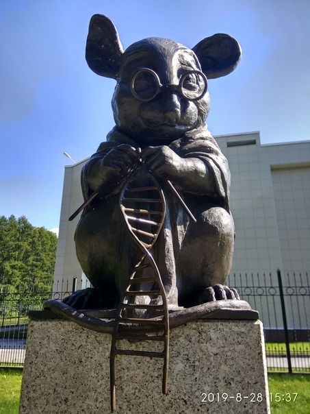 Академгородок...Мышь вяжущая ДНК. Памятник лабораторной мыши