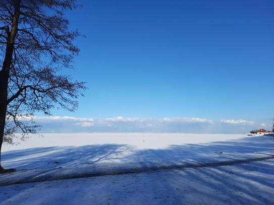 Вид на Финский залив и его северный берег