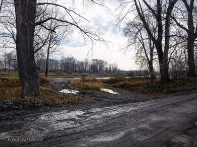 Лапа. Осень