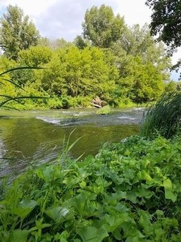 Река Медведица. Волгоградская область. 3. 07. 2022 г