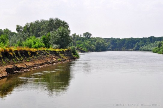 Самая чистая река Европы - Хопр. (г. Урюпинск, 28 июля 2016 г. )