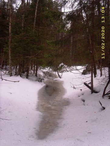 Прогулка на Медвежку. Фото Зырянцевой. Ручей течет, петляя по лесу, то здесь, то там пересекая лыжню. Вид с мостика