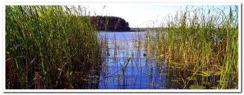 Тудозеро - составная часть Онежского озера