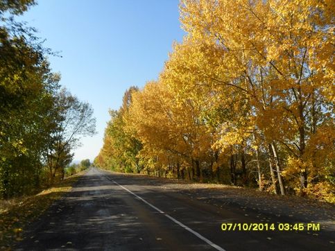 Дорога в Дерезовку, Осень