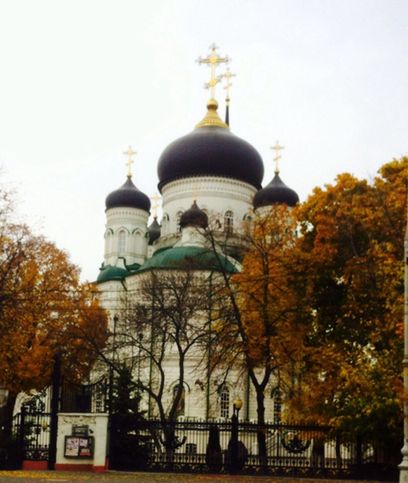 Благовещенский кафедральный собор  православный храм Русской православной церкви, расположенный в центре города Воронежа