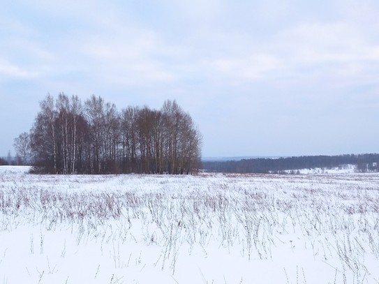 Просторы на севере Ивановской области из-за протекающей снизу реки Солоница