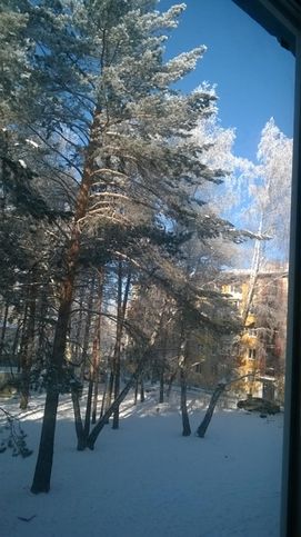 Вид из окна. Ангарск 15. 11. 2015