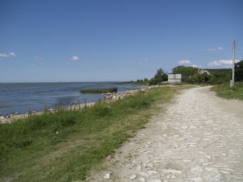 Берег Калининградского залива