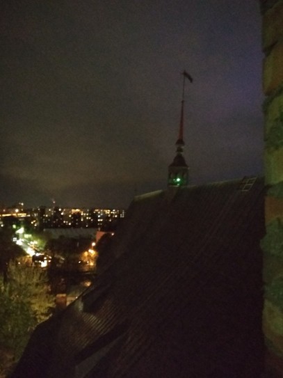 А на крыше собора живут хищные птицы, но их ночью не видно.