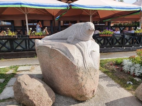 Памятник серому балтийскому тюленю, Зеленоградск (Кранц), Калининградская  область