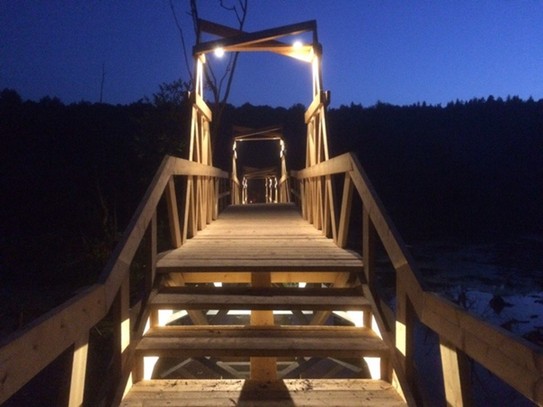 Мост через болото
