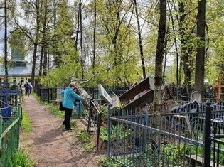 Последствия грозы с сильным ветром, Старое кладбище, Людиново, Калужская область