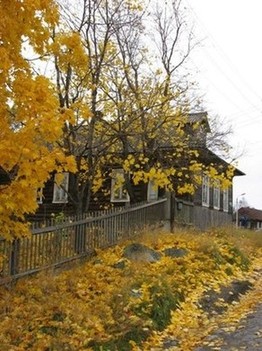 Сыплет щедро осень сво недолговечное золото по городским улицам... г. Кемь, Карелия