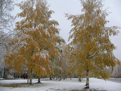Карельская осень