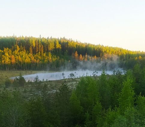 Ламбушка (лесное озеро) на рассвете.