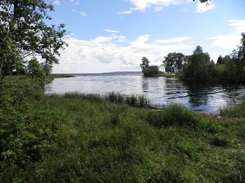 Река Кумса впадает в Онежское озеро