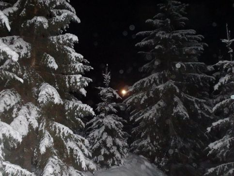 Фотографировала луну, если кто не понял) Это была ночь перед Рождеством, и ее должны были украсть