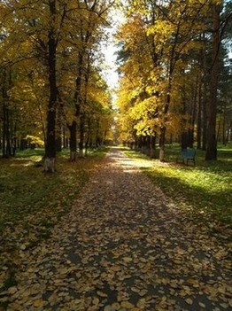 Золотая осень в Гурьевском парке