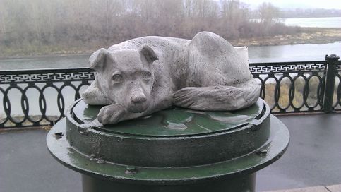 Кемерово Памятник бездомной собаке