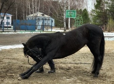 Осинники