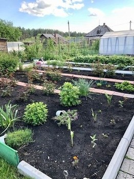Мой сад-огород
