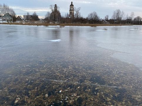 Жителей Кировской области удивило озеро с прозрачным льдом (ВИДЕО)