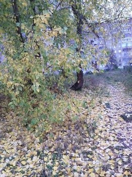 Золотая Осень ...  вчерашний снег рАссТаЯл ... 1 октября 2015 год. Скульптура Кролик с часами, улица Щербаковская, Москва