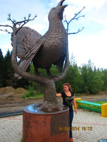 В Сосногрске. Памятник глухарю