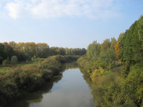 Река Вкса, г. Буй, Костромская область