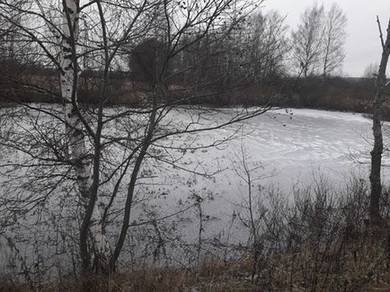 Обвалованный пруд близ д. Колотово