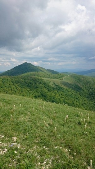 Вид на гору Свинцовую с Высокого Бугра, Геленджикский район
