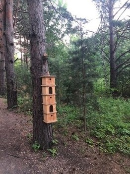 Многоэтажка для лесных жителей