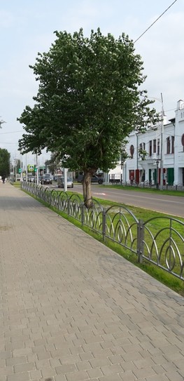 Улица Большая  ныне ул. Ленина