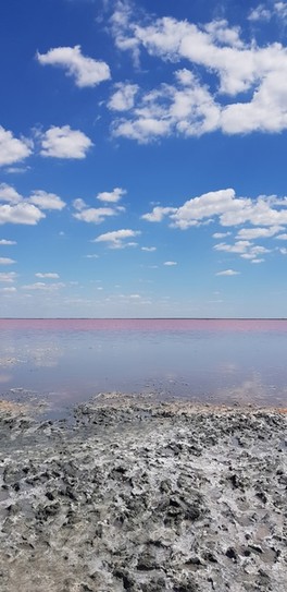 Летом вода в озере окрашивается в розовый цвет