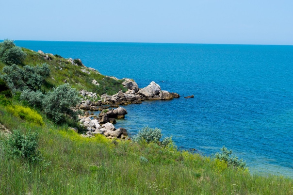 Берег Азовского моря